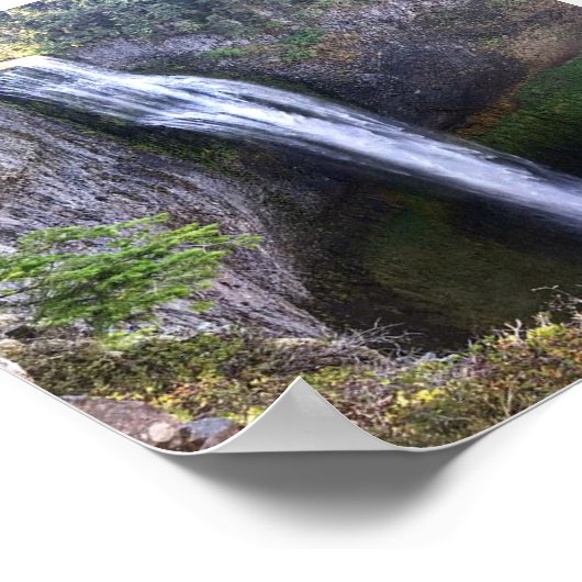 Poster Salt Creek Falls (Coin)