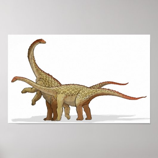 Poster Saltasaurus - Portefeuille de dinosaures crétacés (Devant)