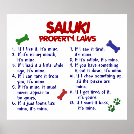 POSTER SALUKI PL2 (Devant)