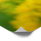 Poster Salut au public (Coin)