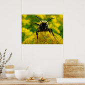 Poster Salut au public (Cuisine)