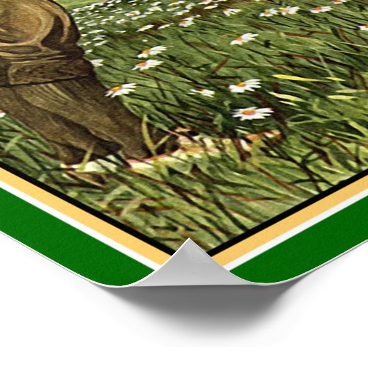 Poster Salutation irlandaise Wolfhound (Coin)