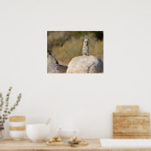 Poster Salutations amicales (Cuisine)