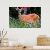 Poster Salutations de Noël (Cuisine)