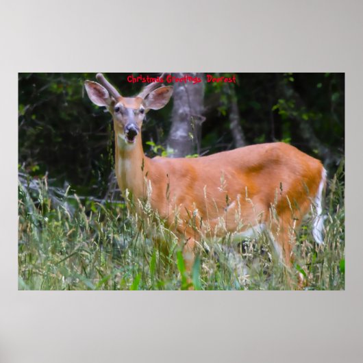 Poster Salutations de Noël (Devant)