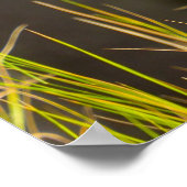 Poster Salutations de Noël (Coin)