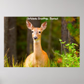 Poster Salutations de Noël (Devant)