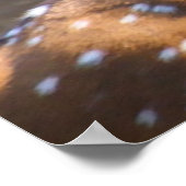 Poster Salutations de Noël (Coin)