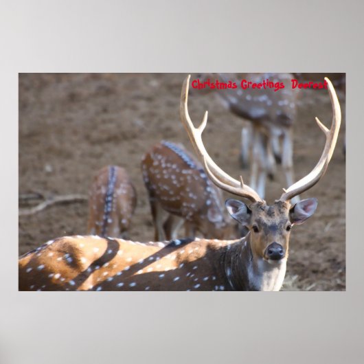 Poster Salutations de Noël (Devant)