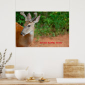 Poster Salutations de Noël (Cuisine)