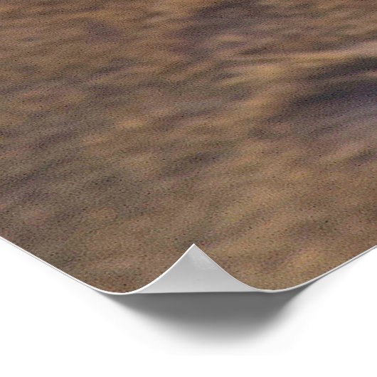 Poster Salutations de Noël (Coin)