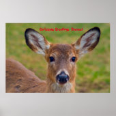 Poster Salutations de Noël (Devant)