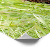 Poster Salutations de Noël Big Beaver (Coin)