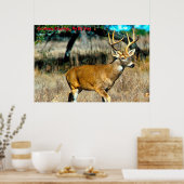 Poster Salutations de Noël Mon Big Stag (Cuisine)