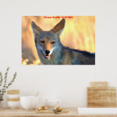 Poster Salutations de Noël Mon Vieux Coyote (Cuisine)