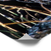 Poster Salutations de Noël Mon Vieux Coyote (Coin)