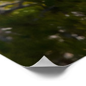 Poster Salutations de Noël Mon Vieux Coyote (Coin)