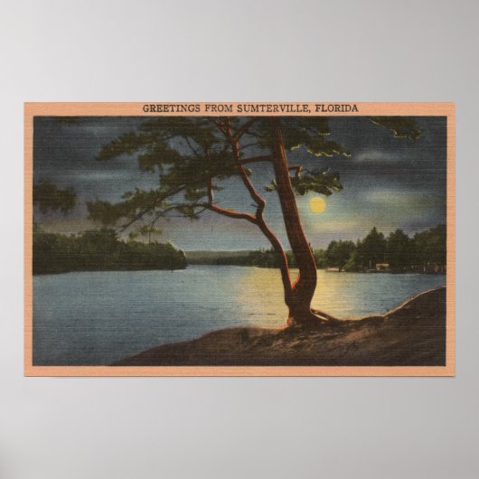 Poster Salutations de Sumterville, Floride - Lune (Devant)