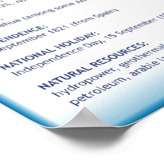 Poster Salvador (Coin)