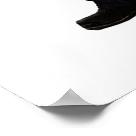 Poster Salvatore Brothers (Coin)