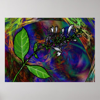 Poster Salvia Divinorum