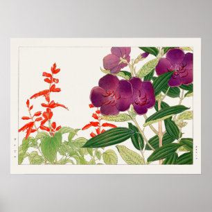 Poster Salvia rouge et Melastoma violette par Tanigami Ko
