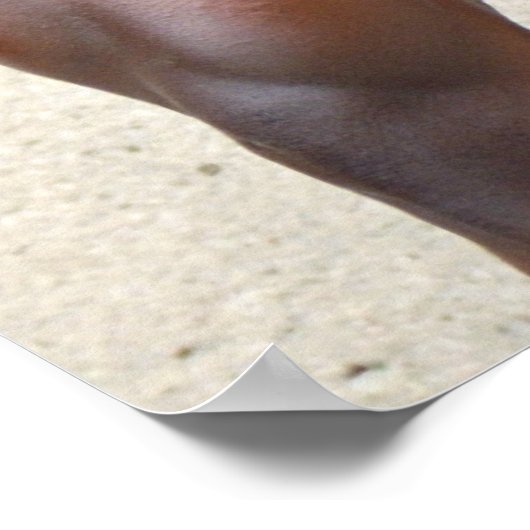 Poster, Sam Addfo, Fingers on Thighs, SAMSAMJ2 Poster (Hoek)