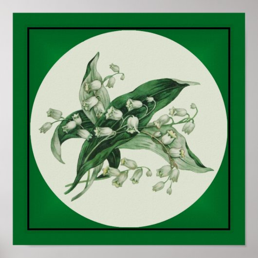 Poster Samantha Lily 1 (Devant)