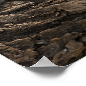 Poster Samburu Game Reserve, Kenya, Vervet Monkey, (Coin)