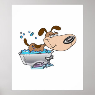 Poster Samedi soir Bath de chien