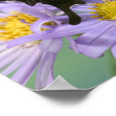 Poster Sammamish Washington Photo de Papillon sur 4 (Coin)