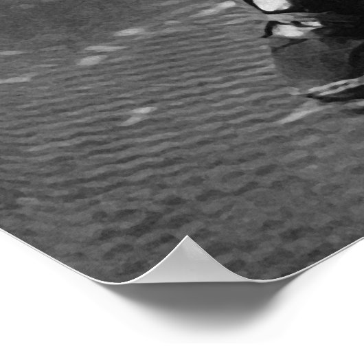 Poster Samouraï blindé avec épée et poignard en 1860 (Coin)