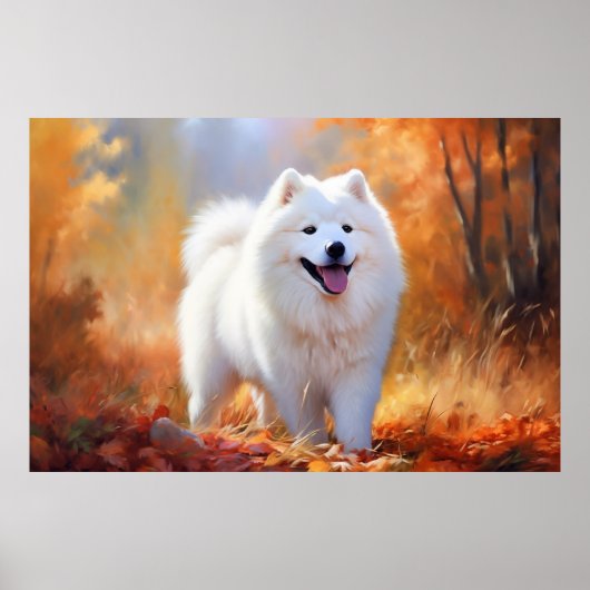 Poster Samoyed (Devant)