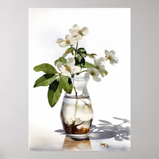 Poster Sampaguita, alias Jasminum Sambac (Devant)