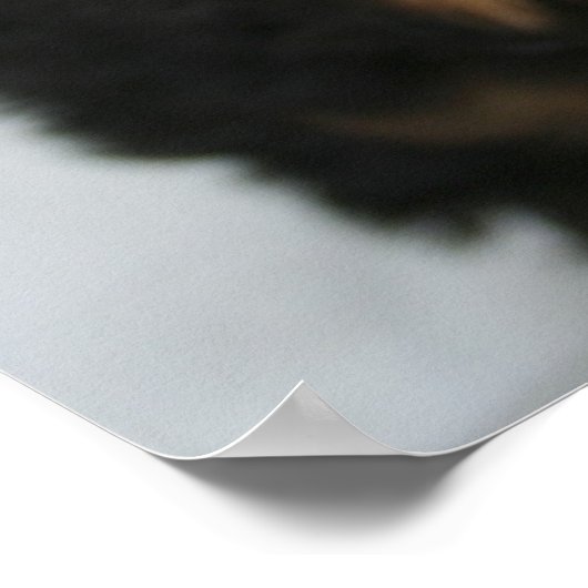 Poster Sampson (Coin)