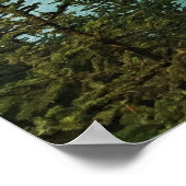 Poster Samuel H. Boardman, Côte de l'Oregon (Coin)