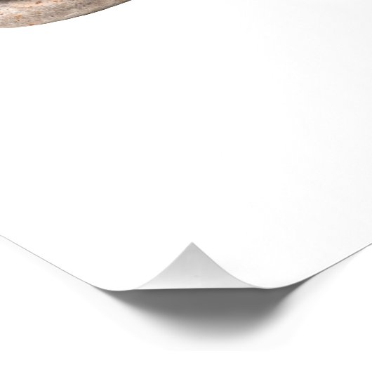 Poster Samurai (Coin)