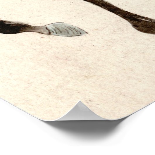 Poster Samurai à cheval 1878 (Coin)