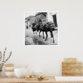 Poster San Cristobal de Las Casas, Chiapas, Mexique (Cuisine)