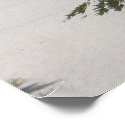 Poster San Diego (Coin)