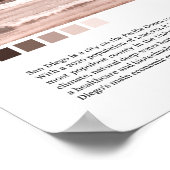 Poster San Diego California USA Minimalist Wart (Coin)