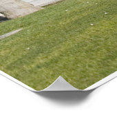 Poster San Diego Condiminiums (Coin)