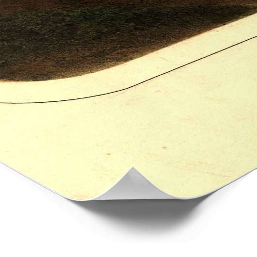 Poster San Francisco, 1860 (Coin)