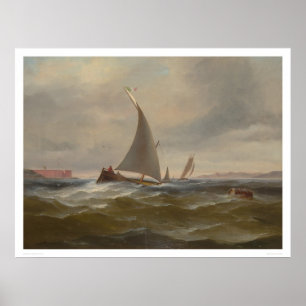 Poster San Francisco Bay Felluca (1314)