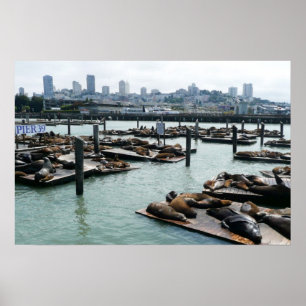 Poster San Francisco et Pier 39 Sea Lions City Skyline