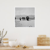 Poster San Juan Chamula, Chiapas, Mexique (Cuisine)