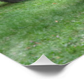 Poster SAN Pinzgauer 712 (Coin)