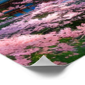 Poster Sanctuaire Sakura, Temple Traditionnel (Coin)