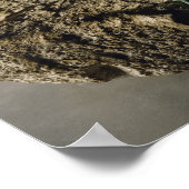 Poster Sanctuaire votif de culpabilité (Coin)