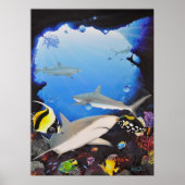 Poster sanctuaryoftheshark (Devant)
